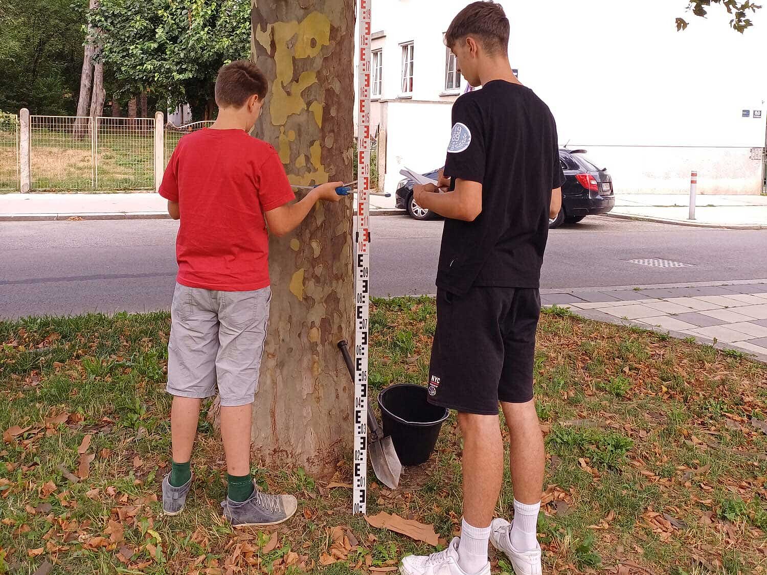 Foto Schüler untersuchen einen Baum