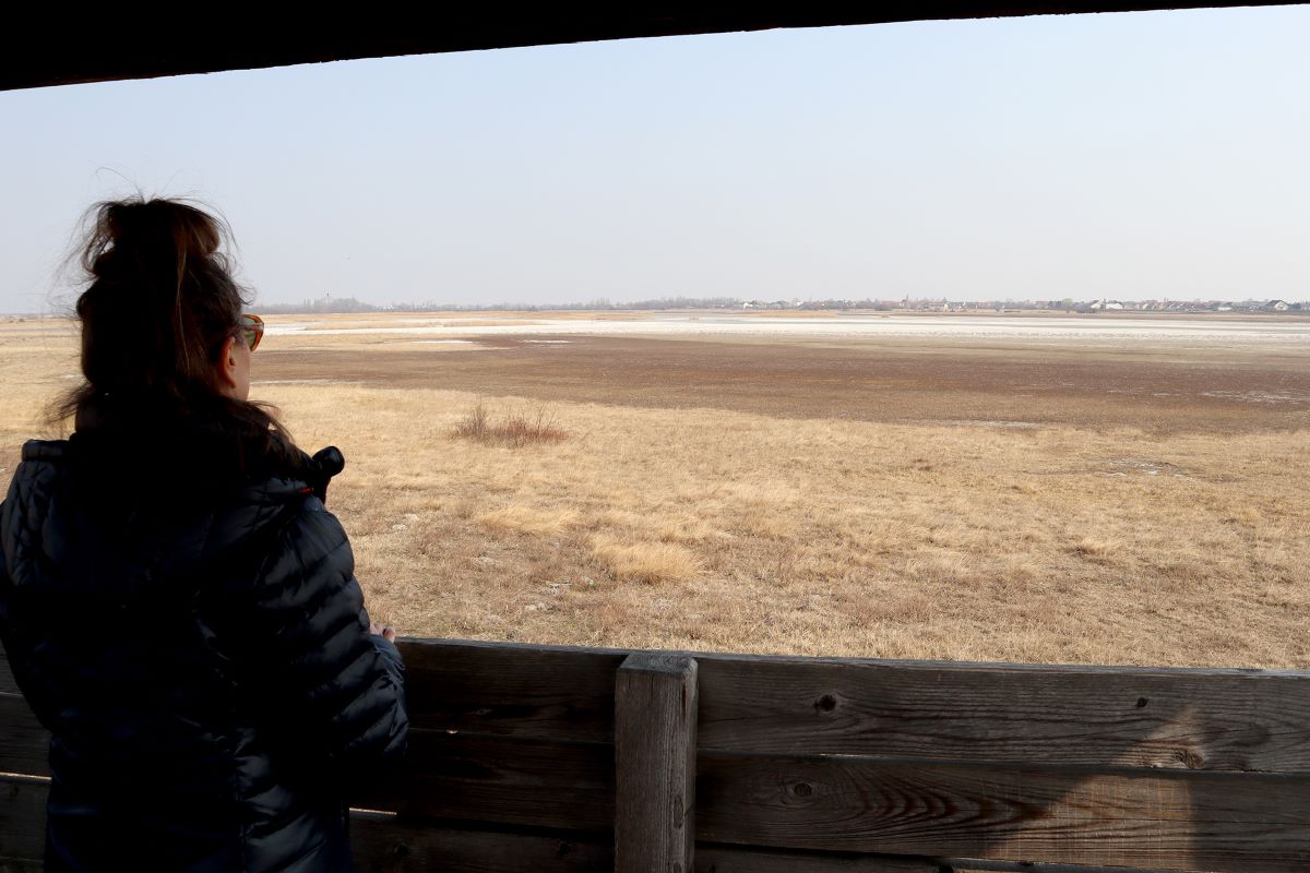 Foto Trockenheit am Neusiedler See