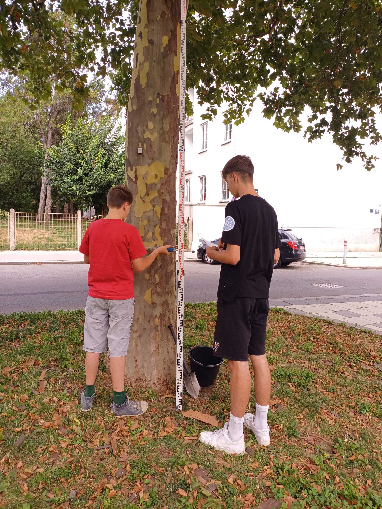 Foto Schüler untersuchen einen Baum